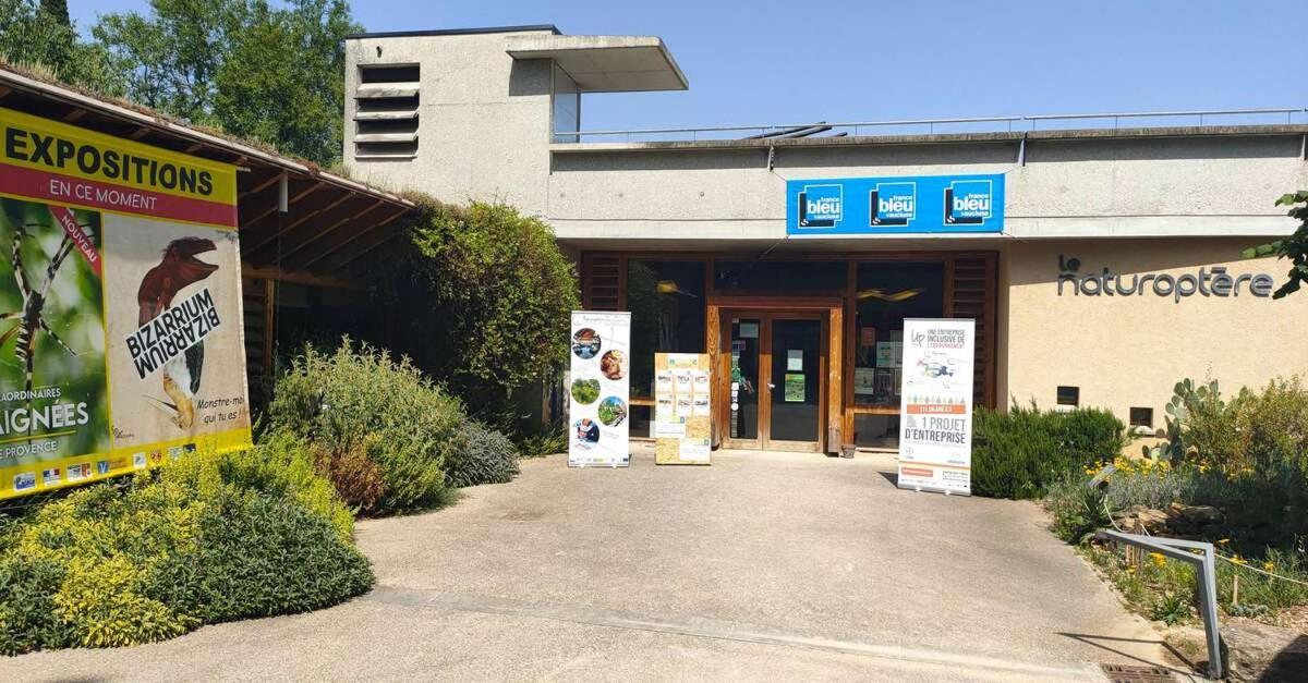 Apartamento La Grotte Sérignan-du-Comtat Exterior foto